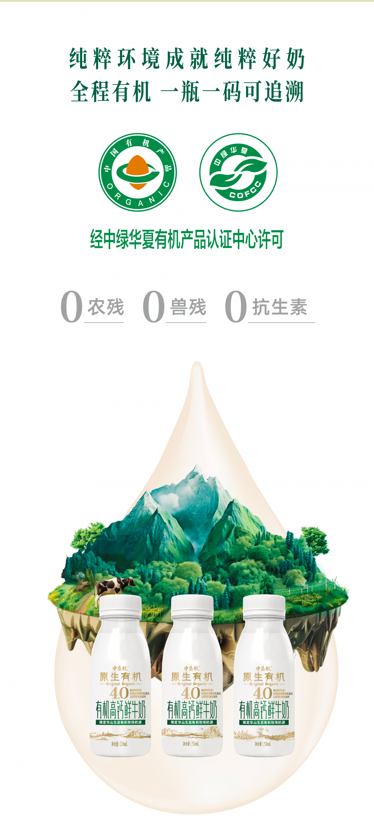 图层 5
